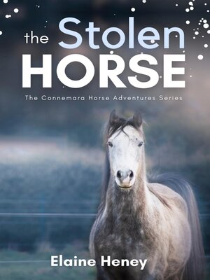cover image of The Stolen Horse--Book 4 in the Connemara Horse Adventure Series for Kids